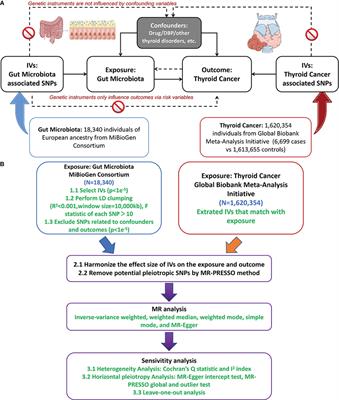 Mendelian randomization suggests a causal relationship between gut dysbiosis and thyroid cancer